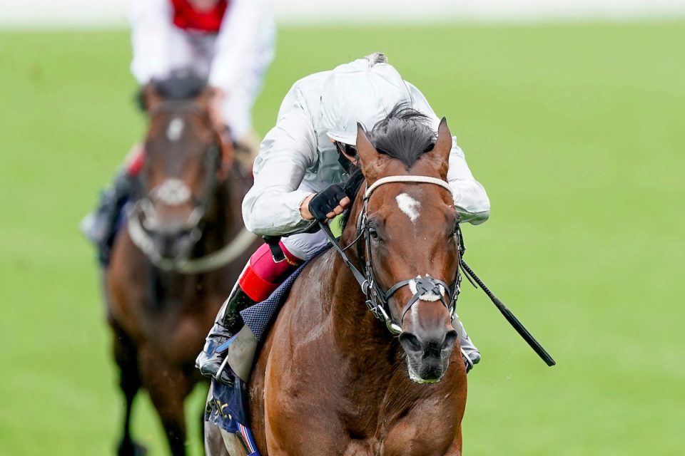 Palace Pier heads 12 declarations for the Al Shaqab Lockinge Stakes