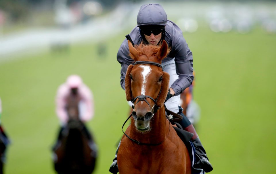 Serpentine wins the 2020 Epsom Derby
