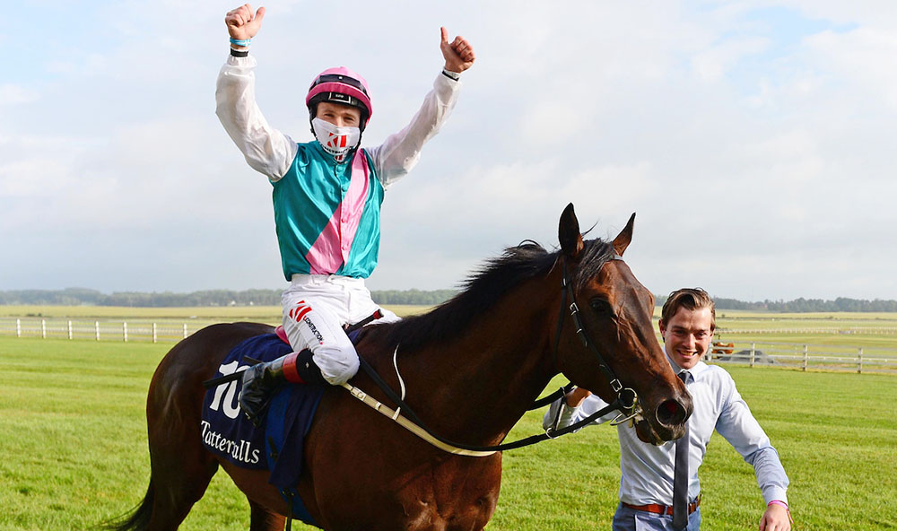 Siskin Sussex Stakes