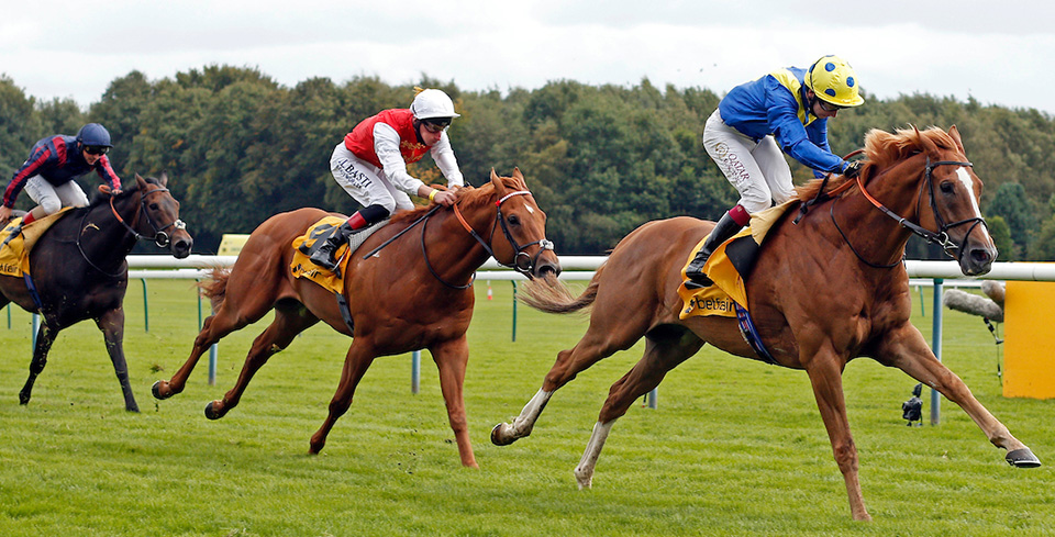 Dream of Dreams Betfair Sprint Cup