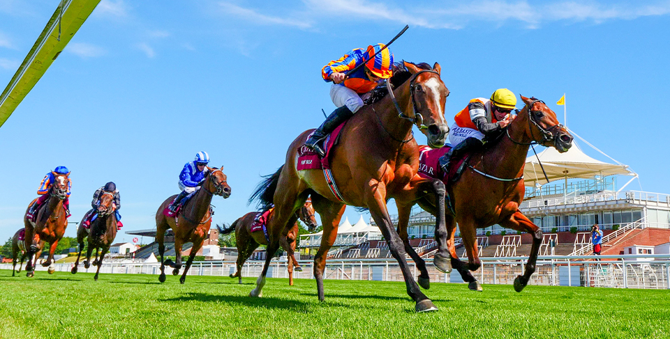 Fancy Blue heads QIPCO British Champions Fillies & Mares Stakes entries