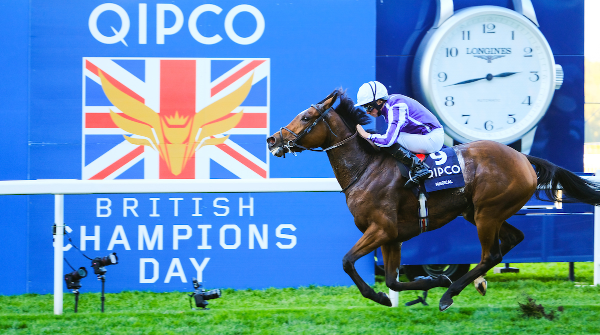 Magical Champions Day
