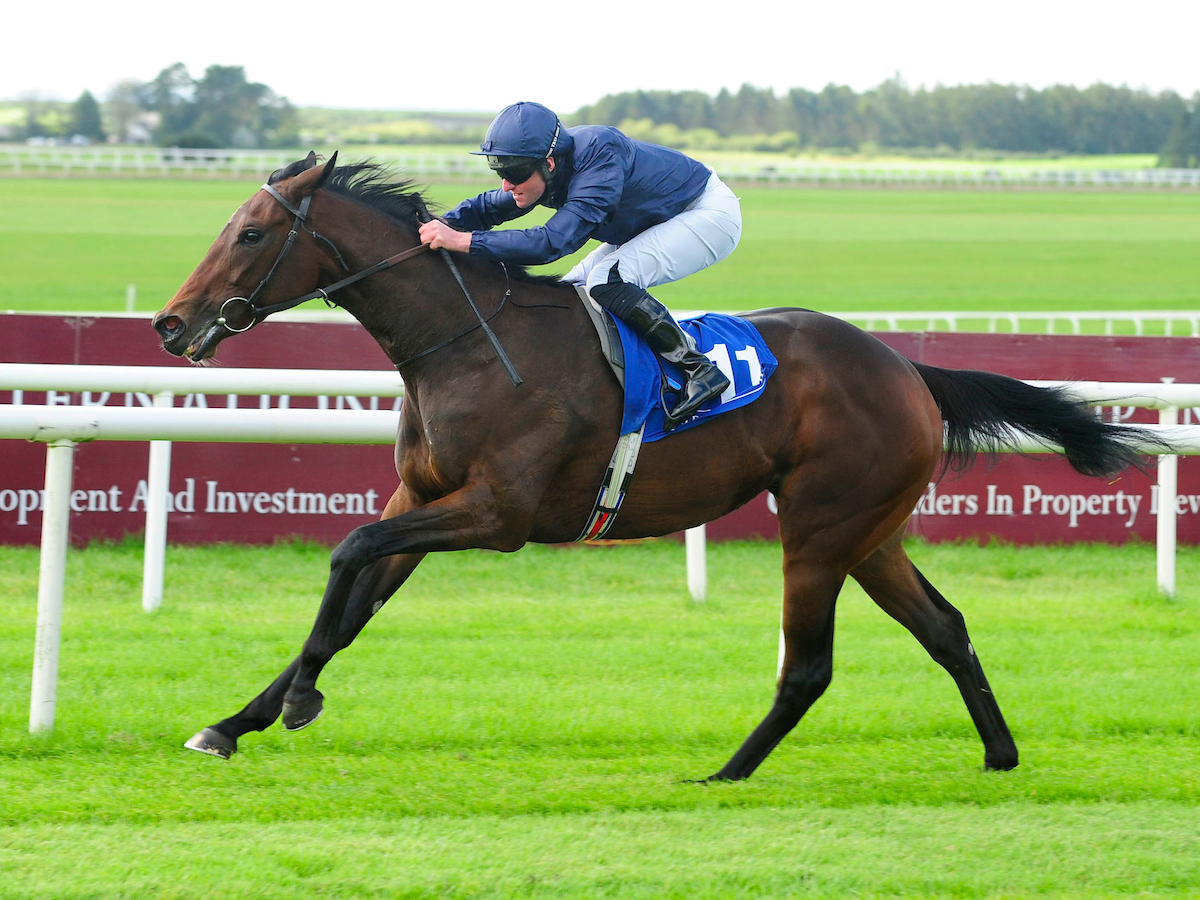 Santa Barbara heads the 2021 Cazoo Oaks market