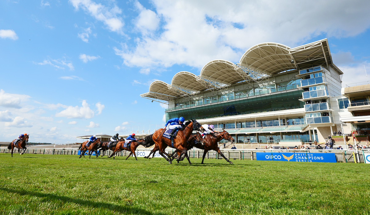 Poetic Flare wins QIPCO 2000 Guineas 2021