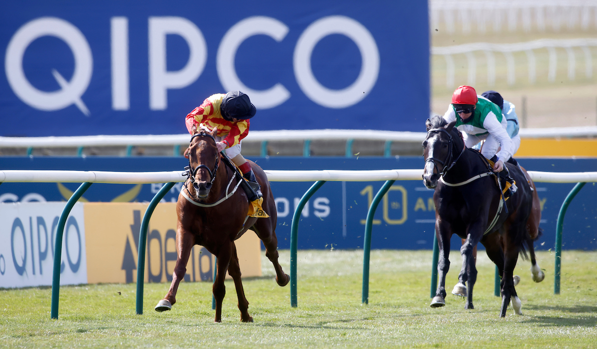 Sir Ron Preistley heads five in Matchbook Yorkshire Cup field