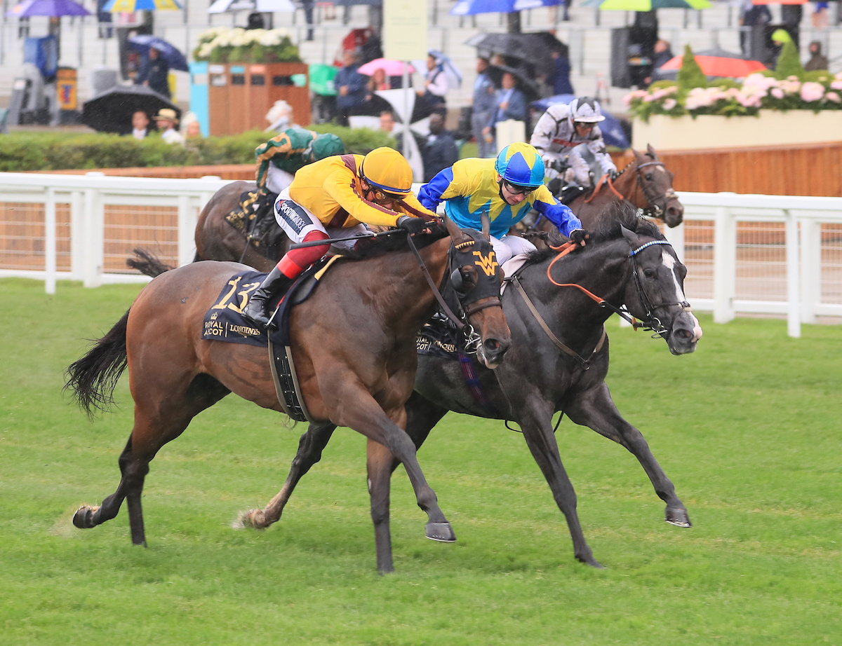 Campanelle wins the Commonwealth Cup