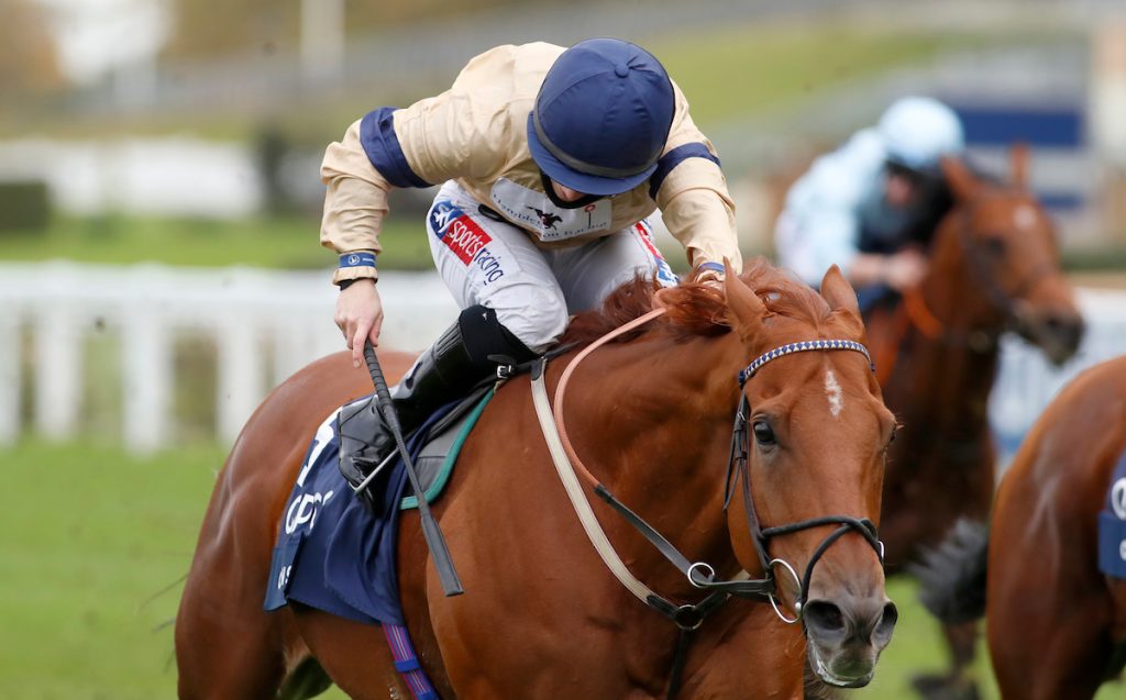 Glen Sheil wins the QIPCO British Champions Sprint