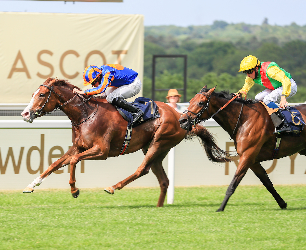 Love wins the St James's Palace Stakes