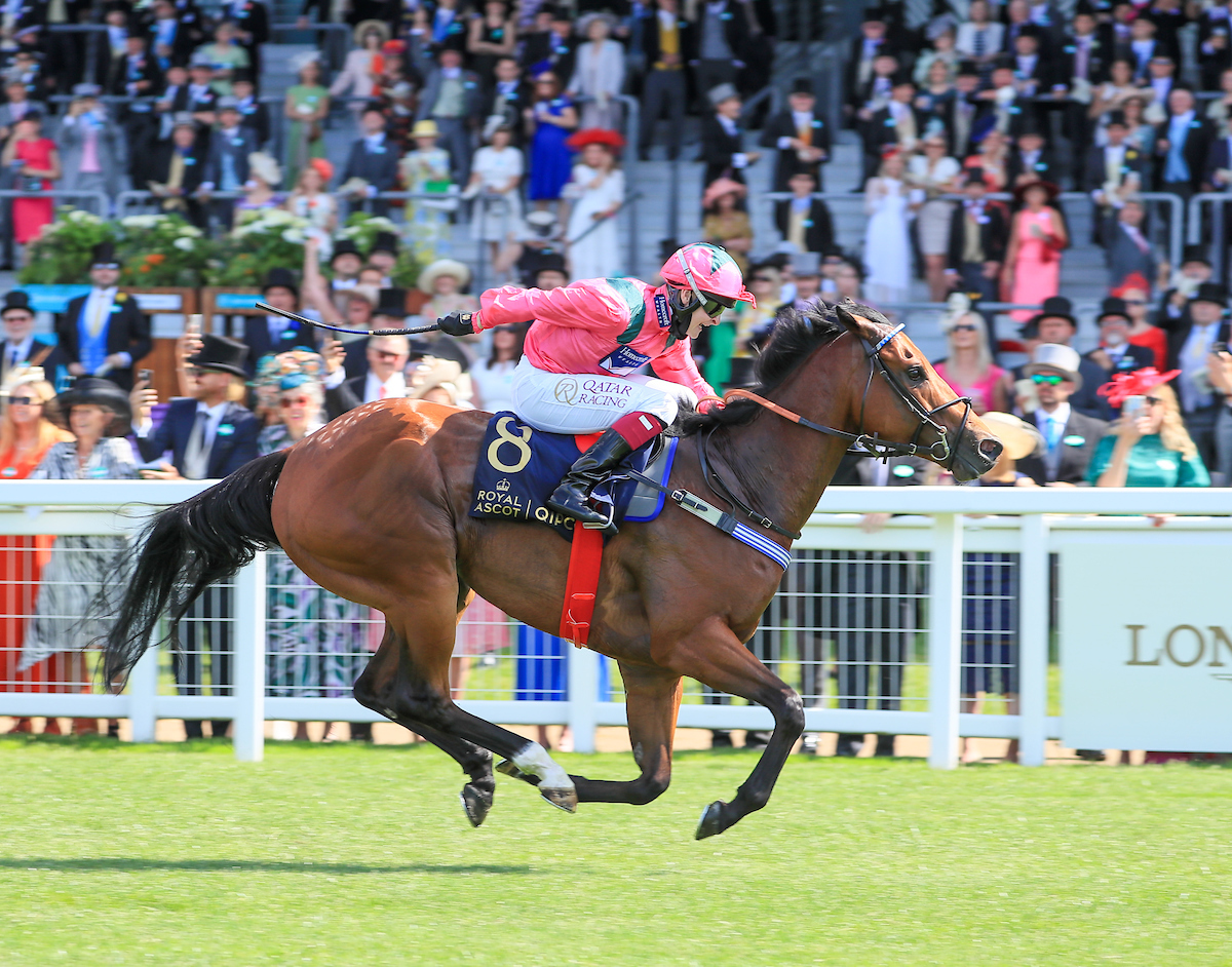 Oxted wins the King's Stand Stakes at Royal Ascot