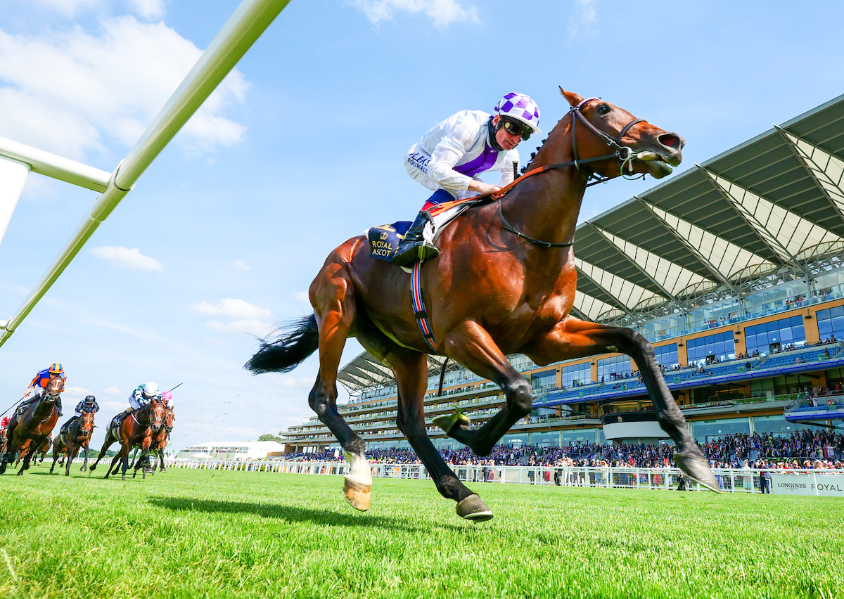 Poetic Flare wins the St James's Palace Stakes at Royal Ascot