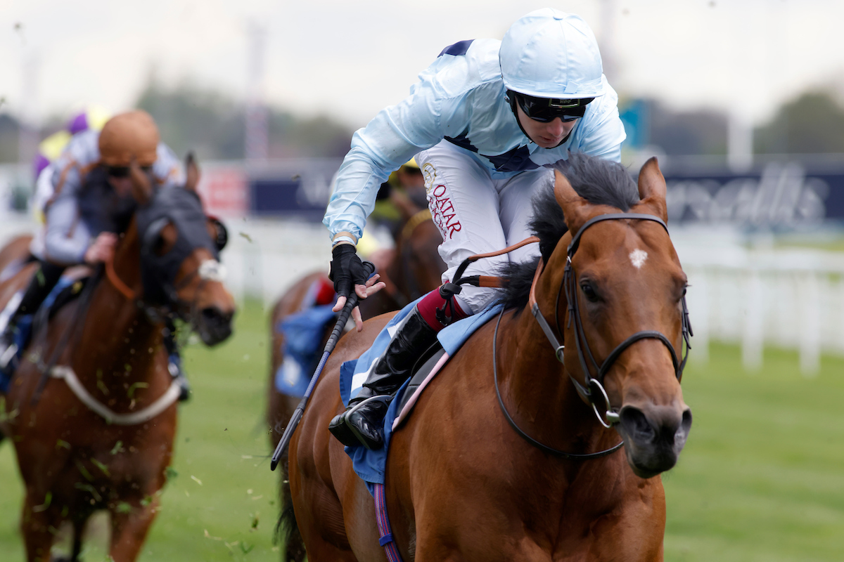 Starman heads the declerations for the Diamond Jubille at Royal Ascot