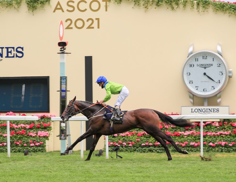 Subjectivist cruises home to win the Gold Cup