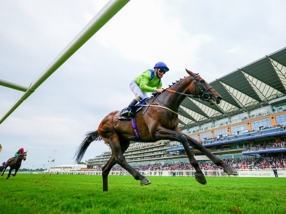Subjectivist wins the Gold Cup at Royal Ascot 2021