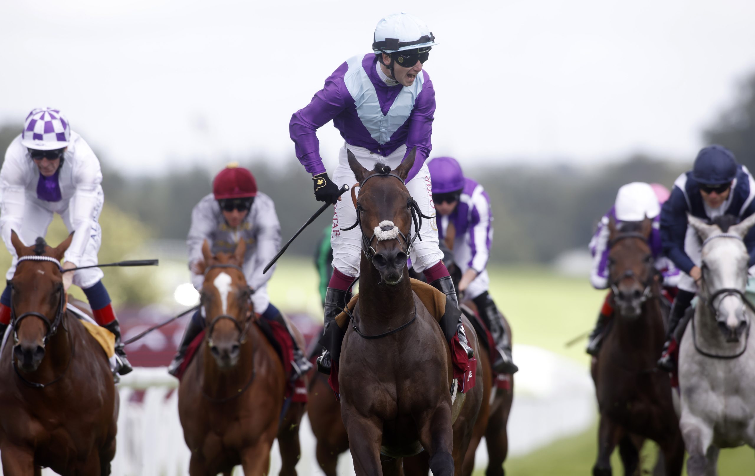 Alcohol Free wins the Qatar Sussex Stakes