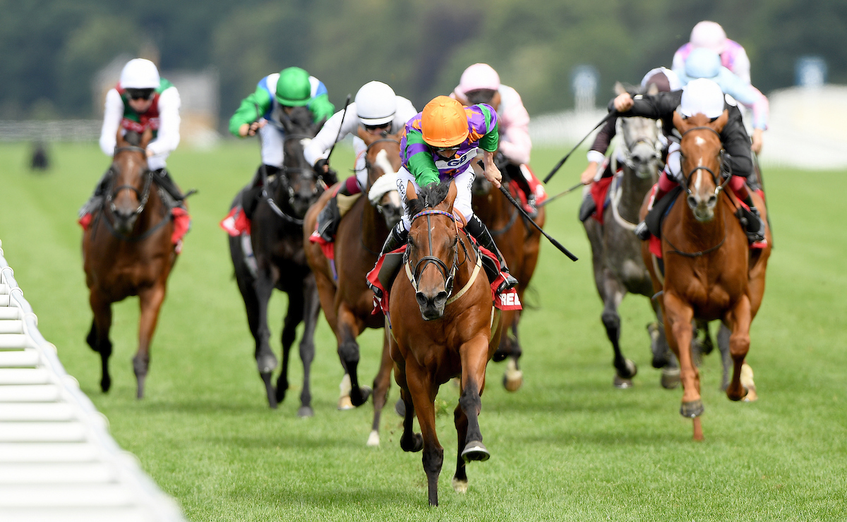 Lady Bowthorpe is declared for the Nassau Stakes