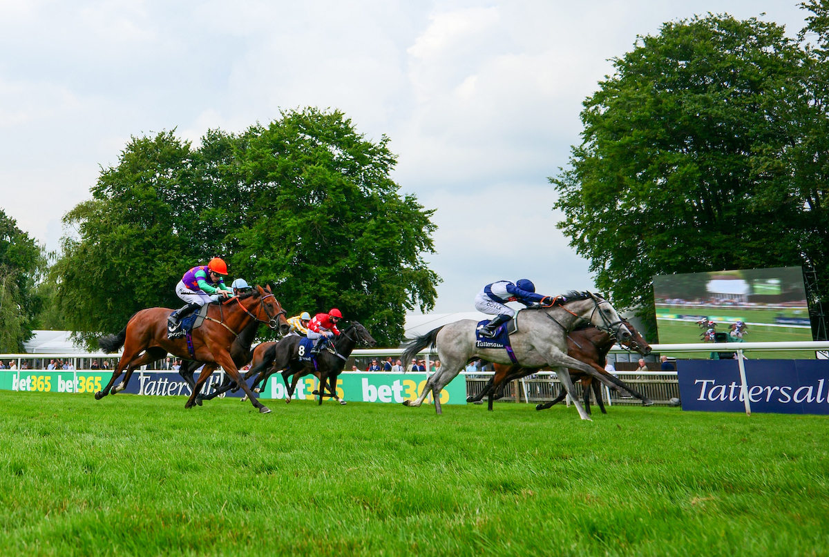 Snow Lantern wins the Falmouth Stakes