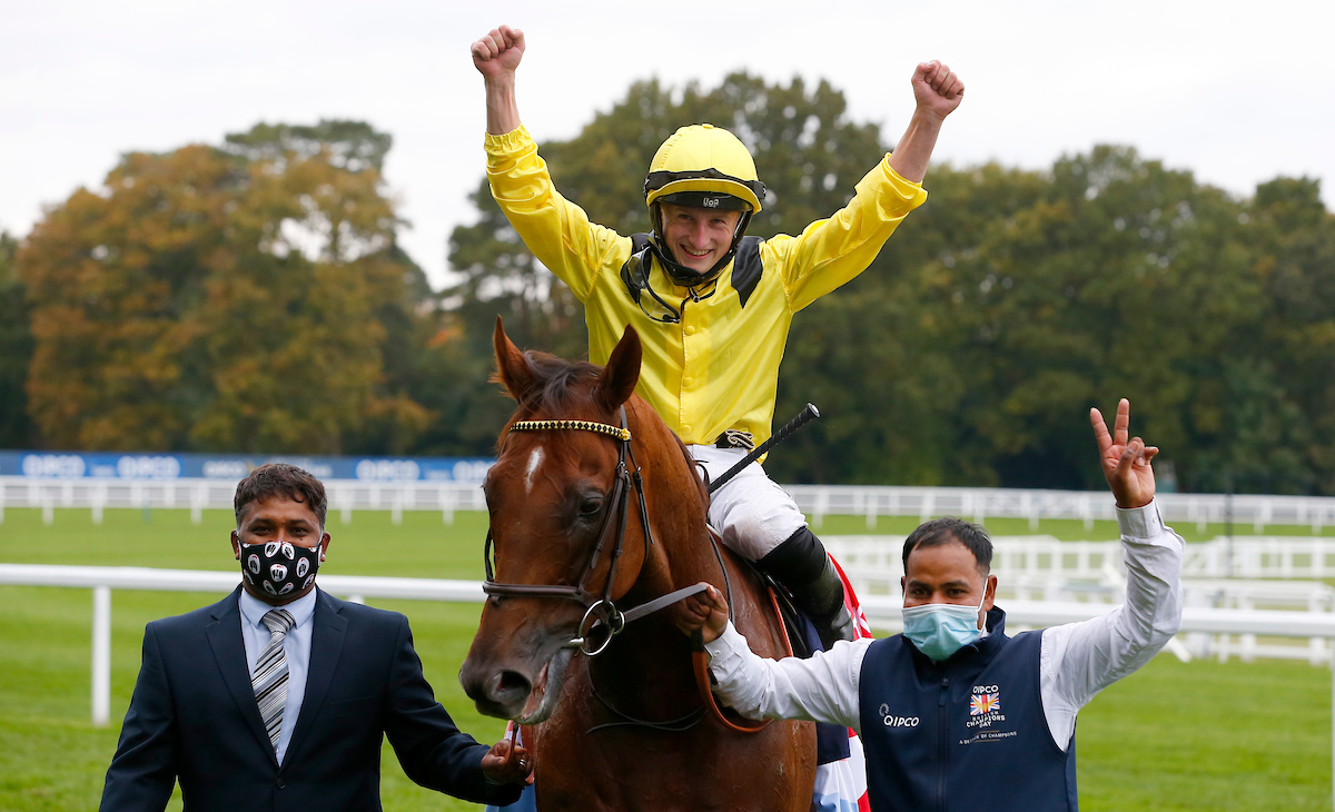 Addeybb to defend Champions Day crown