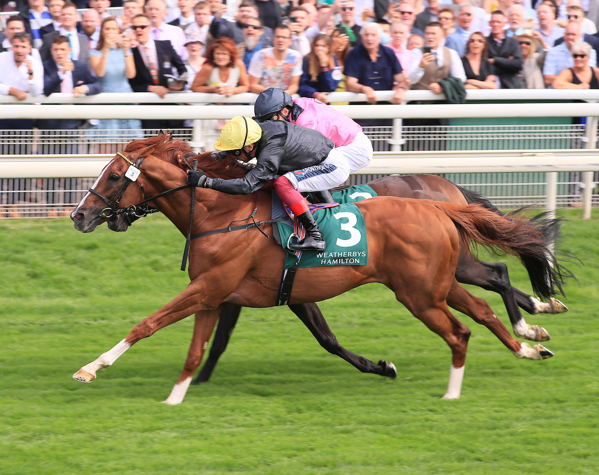 Stradivarius wins the Lonsdale Cup