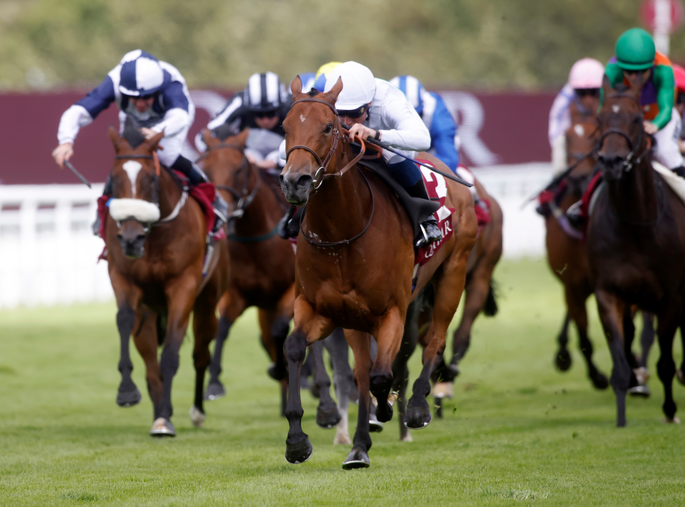 Suesa declared for the Nunthorpe Stakes