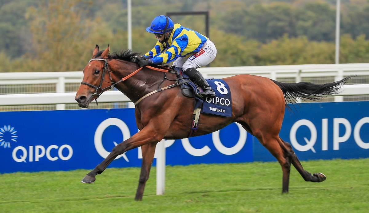John Gosden QIPCO British Champions Long Distance Cup