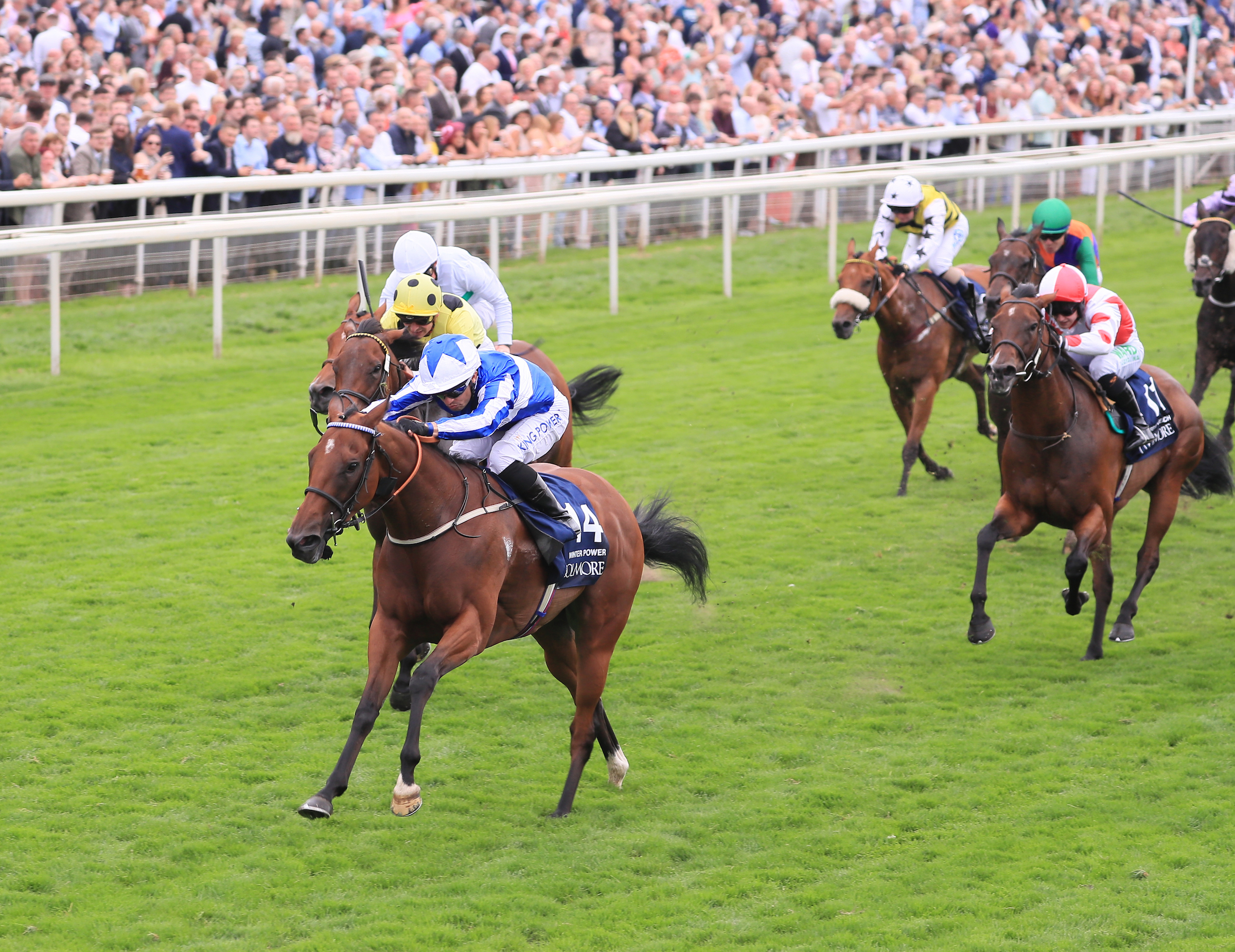Winter Power wins the Nunthorpe Stakes