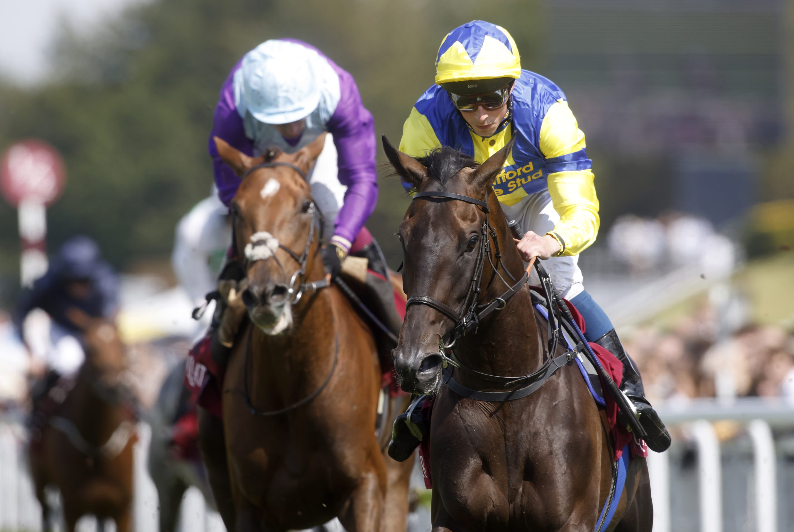 Wonderful Tonight heads entries for QIPCO British Champions Fillies & Mares Stakes