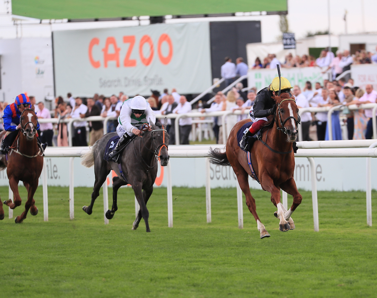 stradivarius doncaster cup
