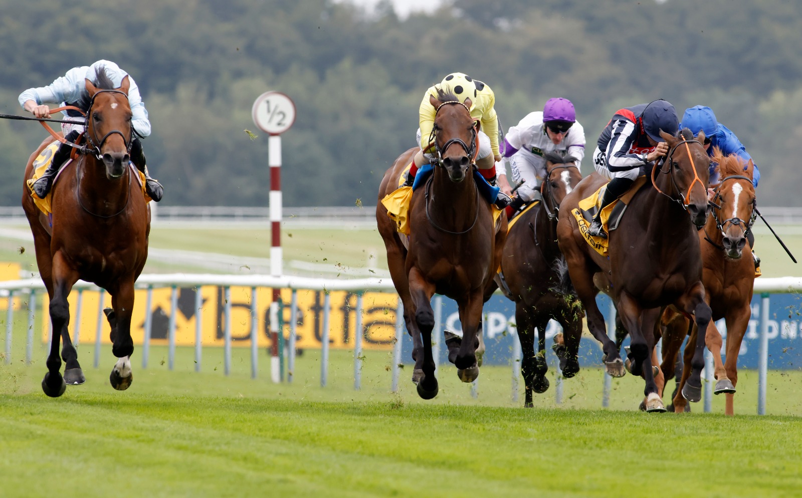 Emaraaty Ana wins the Sprint Cup