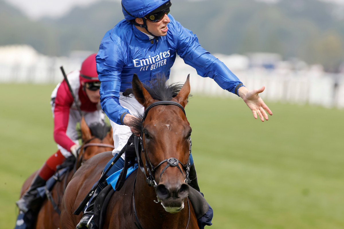 Adayar Entered for Champions Day