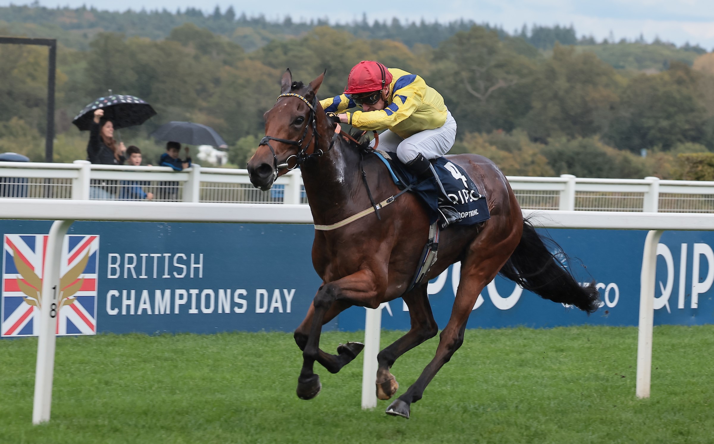 Poptronic wins the Fillies and Mares